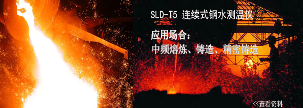 铔R��测温��A�Q�熔炼测温��A�Q�SLD-T5�q�箋式钢水测温��A